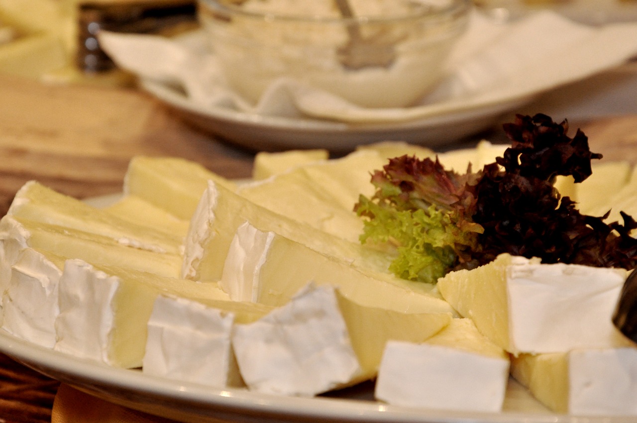 Brie et lactose, que devez-vous savoir ?