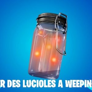 Fortnite: Comment collecter des lucioles à Weeping Woods ? Emplacement