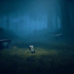 Région-sauvage Little Nightmares 2