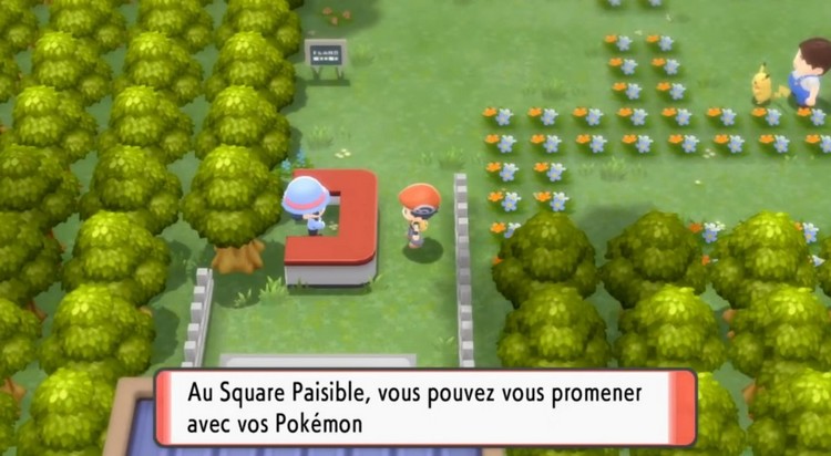 vous pouvez vous promoner avec vos pokémon