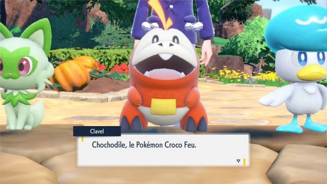 Review - Livre] Pokémon Chochodile, Coiffeton & Poussacha - Un