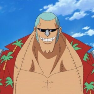 One Piece Épisode 1042