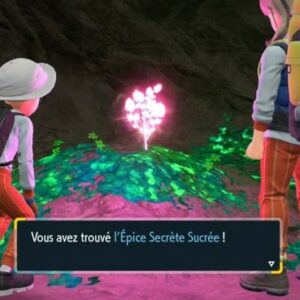 Épice secrète sucrée Pokémon Écarlate et Viole