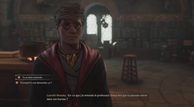 Faut-il voler la plume de Focifère pour Garreth Weasley ou non dans Hogwarts Legacy