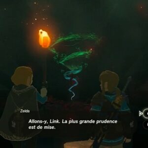 Choisir "Oui" ou "Un instant" dans Zelda Tears Of The Kingdom