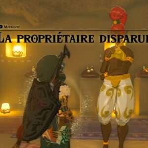 La Propriétaire Disparue Zelda Tears of the Kingdom-2