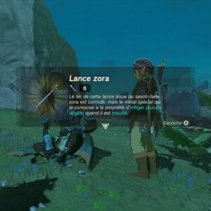 Lance zora