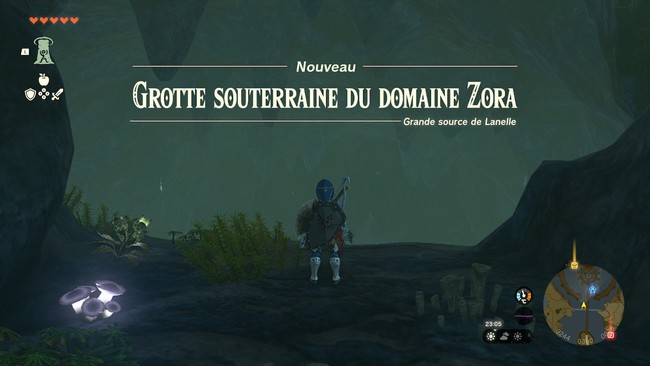 Le trésor du poisson géant Zelda Tears Of The Kingdom-7