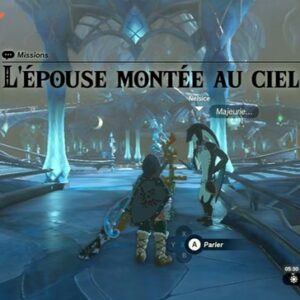 L'épouse montée au ciel-Zelda Tears Of The Kingdom-guide