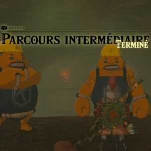 Parcours intermédiaire Zelda Tears Of The Kingdom-1