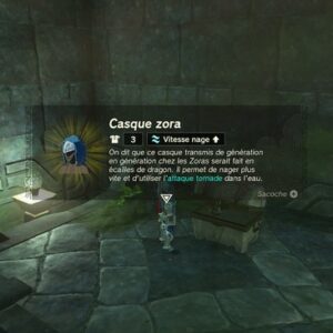 Remontrances sans fin-Zelda Tears Of The Kingdom