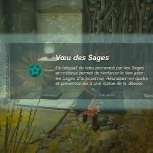 Vœu des Sages