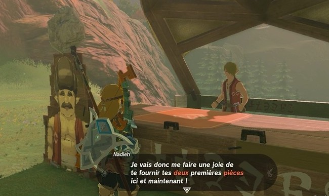 Zelda Tears of the Kingdom-construire votre maison de rêve