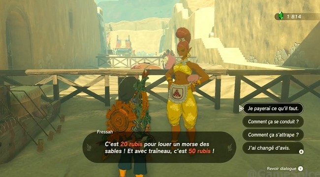 Conduis-moi jusqu'aux ruines Zelda Tears of the Kingdom-1