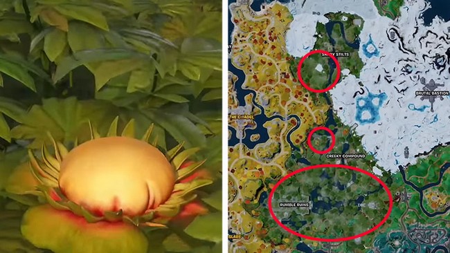 Emplacement des Fleurs de Bond dans Fortnite Chapitre 4 Saison 3