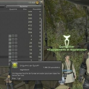 Comment obtenir Gysahl dans Final Fantasy XIV