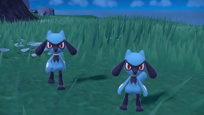 Comment capturer Riolu Shiny dans Pokémon Écarlate et Violet