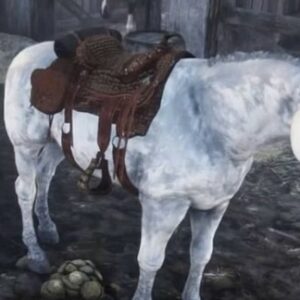 Où trouver un Nokota sur Red Dead Redemption 2