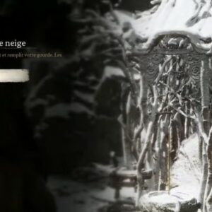 Sentier du Voile de Neige Black Myth Wukong