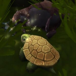 Emplacement Tortue d'égout de Dalaran dans The War Within