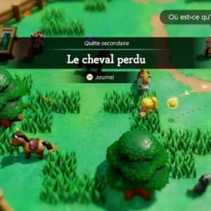 The Legend of Zelda _ Echoes of Wisdom quête secondaire du cheval perdu