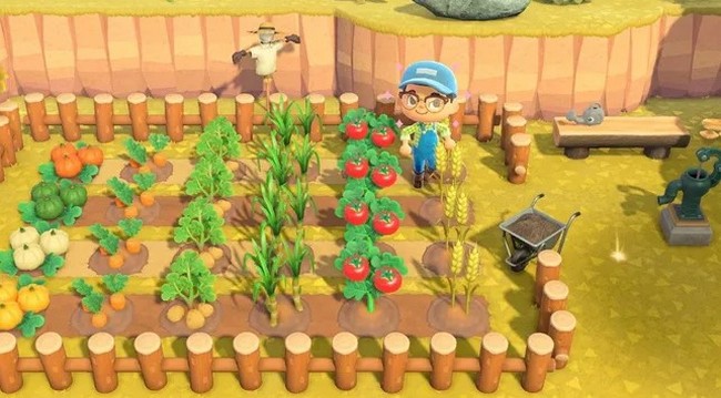 faire pousser des légumes dans Animal Crossing_ New Horizons